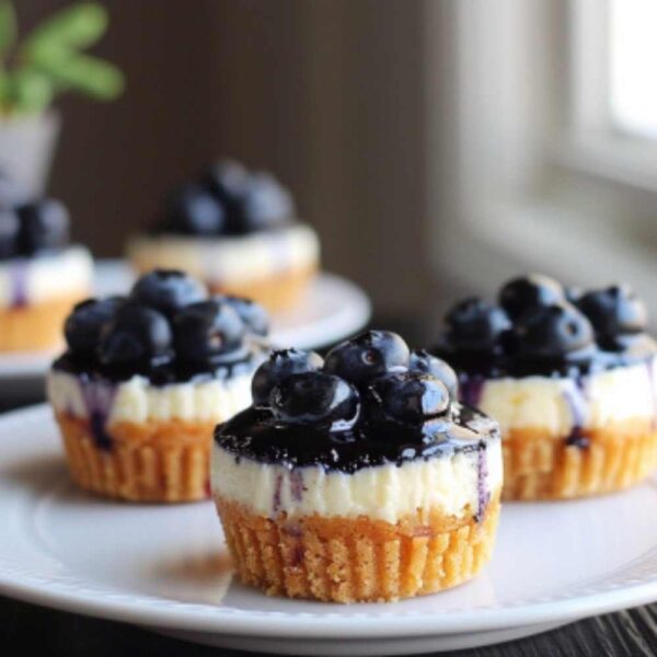 Mini Blueberry Cheesecakes