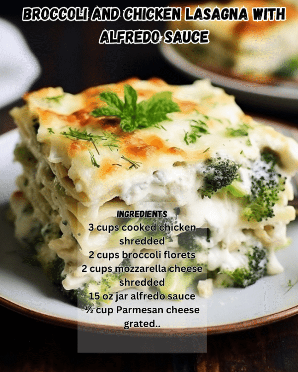 Chicken and Broccoli Lasagna Alfredo 