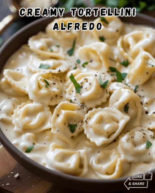 Creamy Tortellini Alfredo (Panera-Inspired)