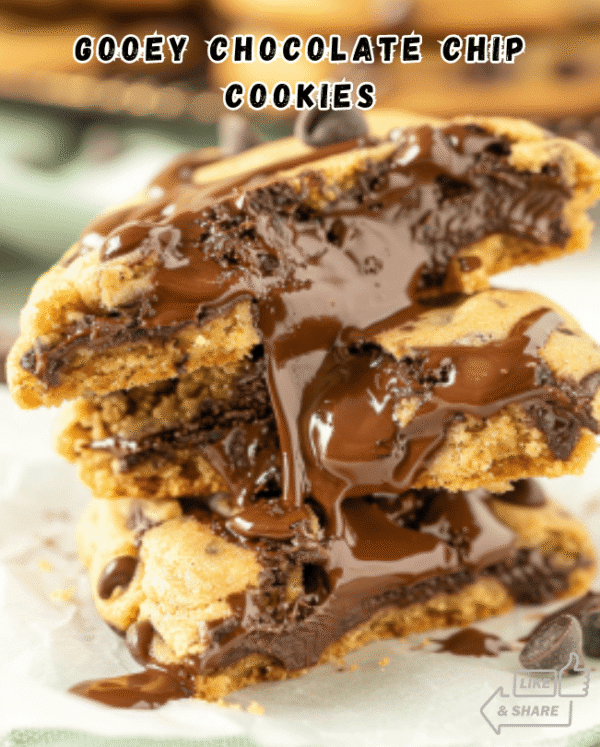 Ultimate Gooey Chocolate Chip Cookies