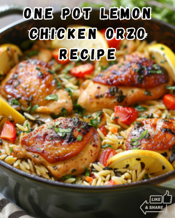 One-Pot Lemon Chicken Orzo
