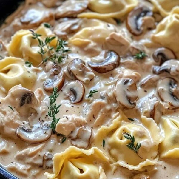 Creamy Asiago Chicken and Mushroom Tortellini Soup